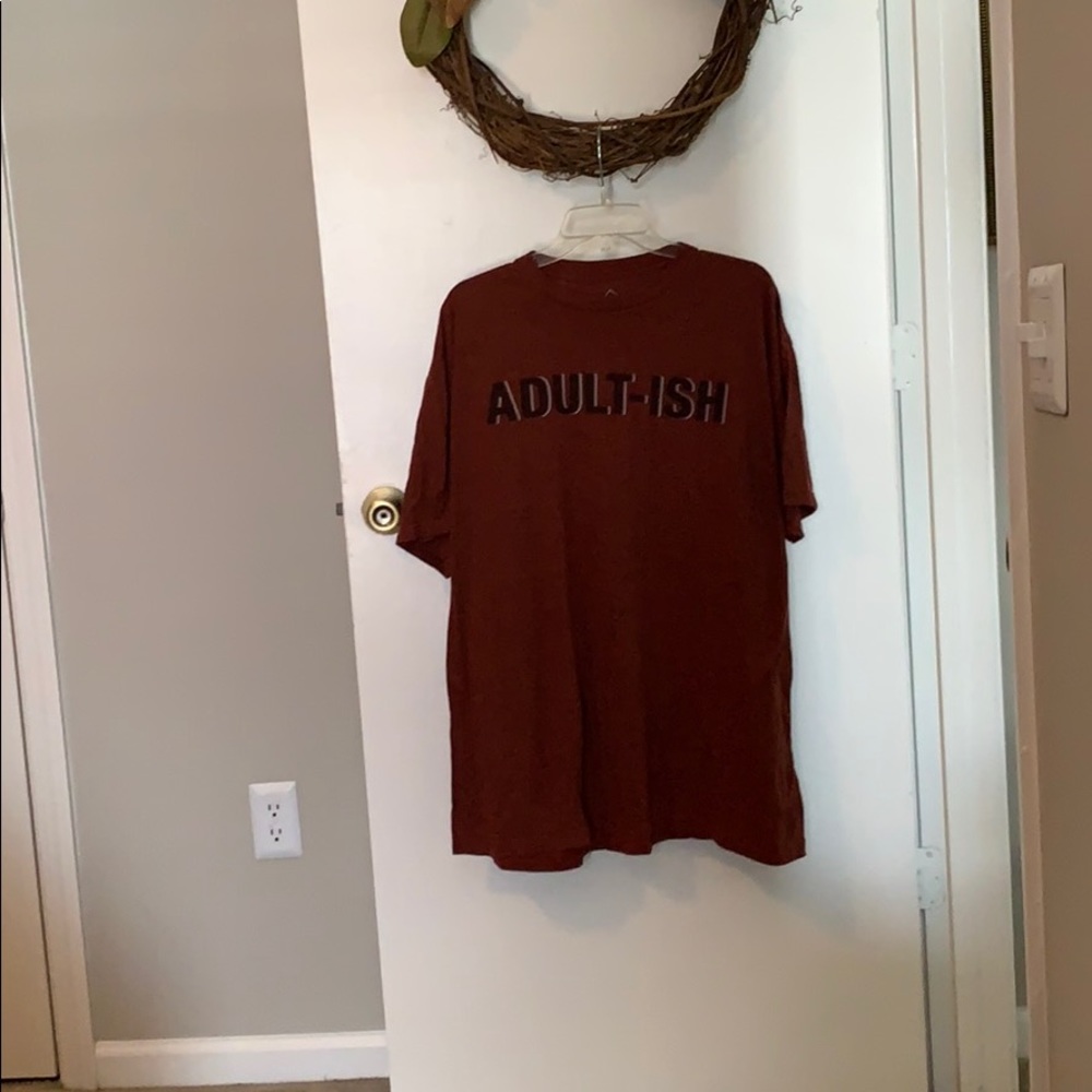 EUC Adult Tee Shirt “Adult-ish” Size 2XL